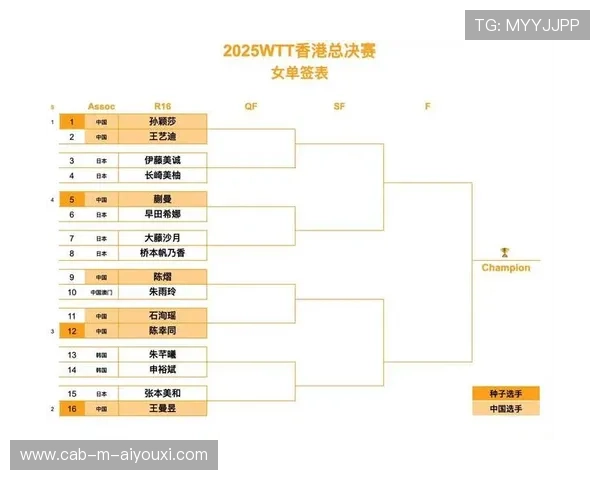 国际乒乓球混双巡回赛举办年度战术复盘大会并出版优秀案例集，乒乓 混双 赛程